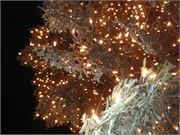 2009-12-12 Wochenende Muenchen13